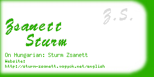 zsanett sturm business card